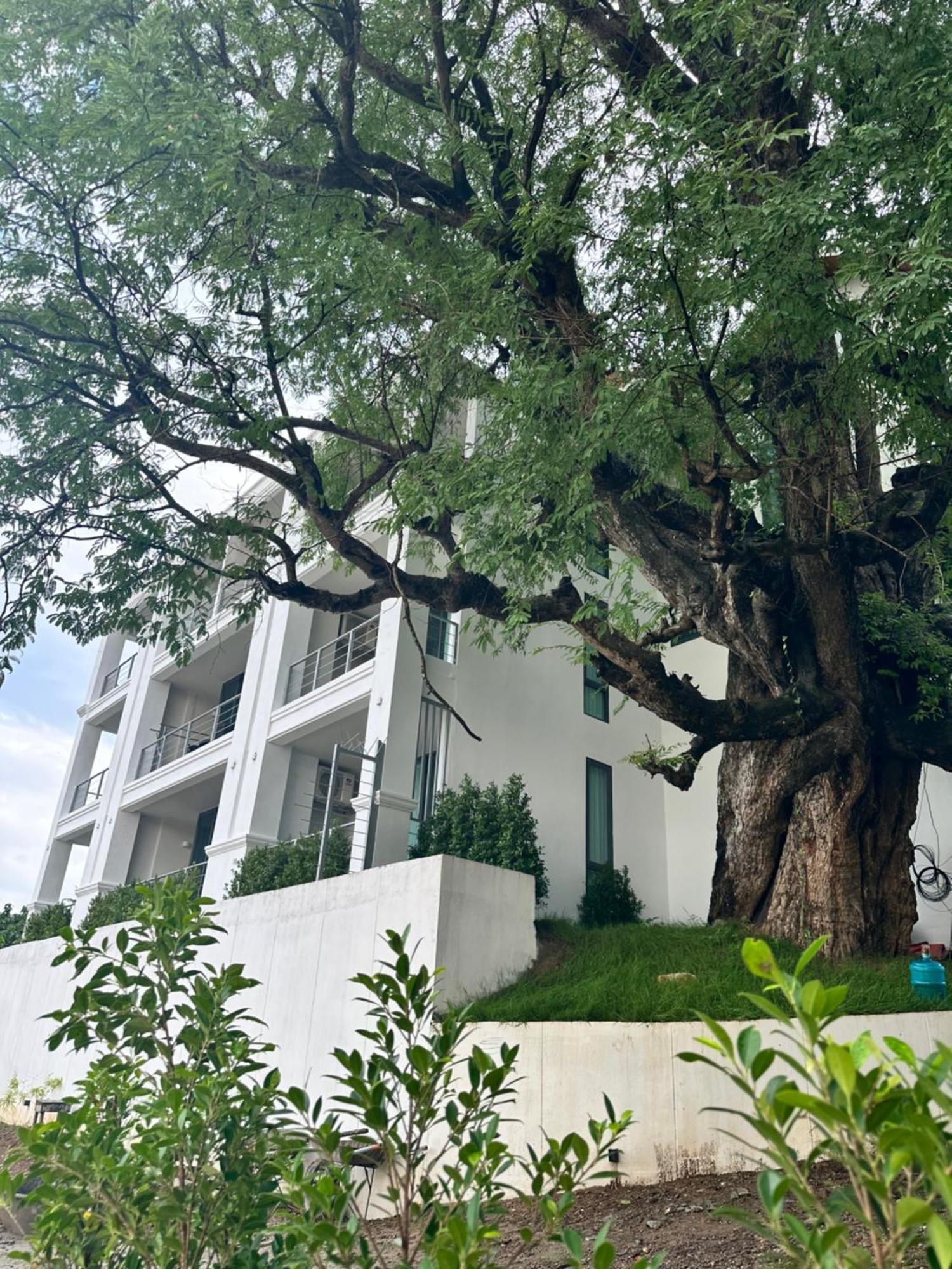 Sokview Residence Luang Prabang Zewnętrze zdjęcie